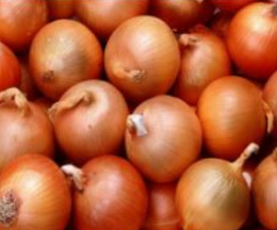 Yellow Onion - 20 units of 2 lb bags per case