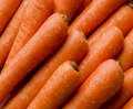 Jumbo Carrots - 50 lbs