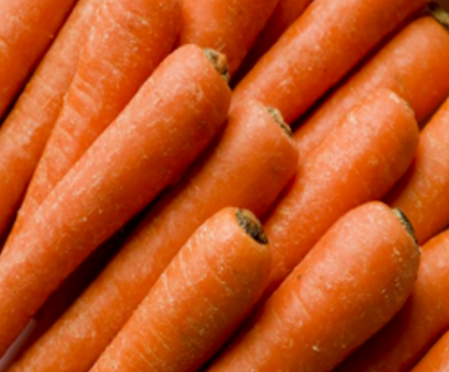 Jumbo Carrots - 50 lbs