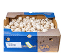 White Medium Mushrooms 10 lbs