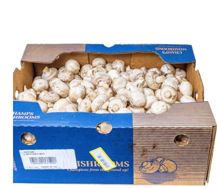 White Medium Mushrooms 10 lbs