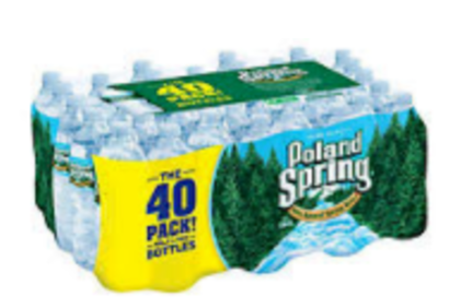 Poland Spring Water - 40/0.5 ltr